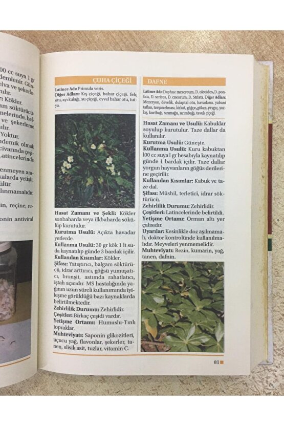 Şifalı Bitkiler Ansiklopedisi, Ragıp Şentürk, 17x24 Cm. Ciltli, Hikmet Neşriyat