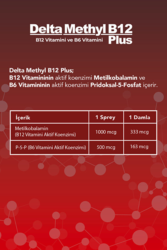 Methyl B12 Plus Methylcobalamin Sprey 10ml