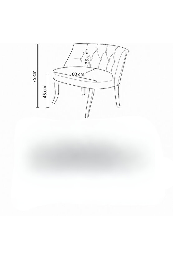 Tekli Berjer Koltuk Fuşya - Çay Seti Koltuk Takımı