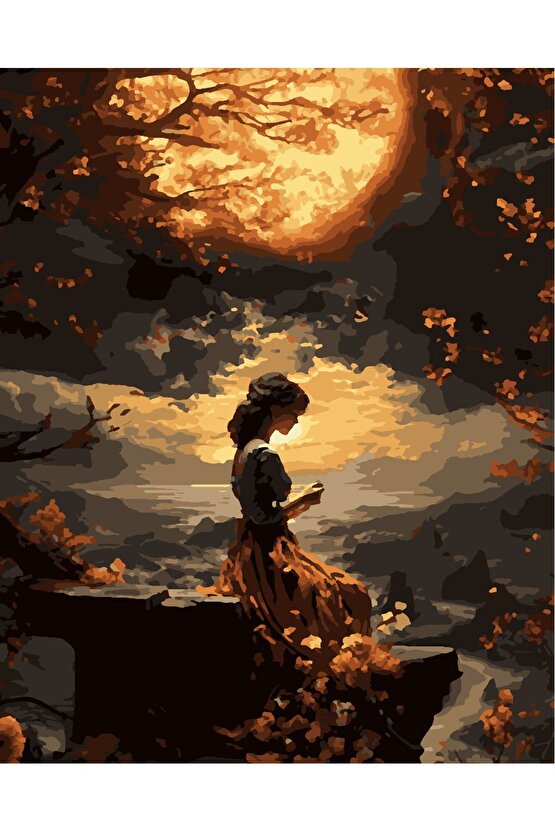 Sayılarla Boyama Kasnaklı Tablo Seti Fırça Boya Dahil 40x50 Gökteki Kız