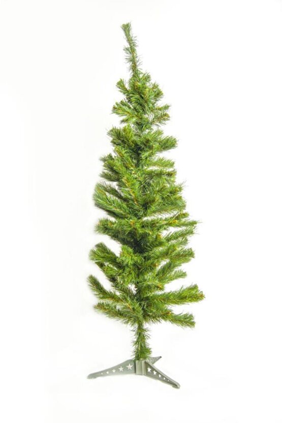 Astaş Yılbaşı Ağacı Kutulu 120cm