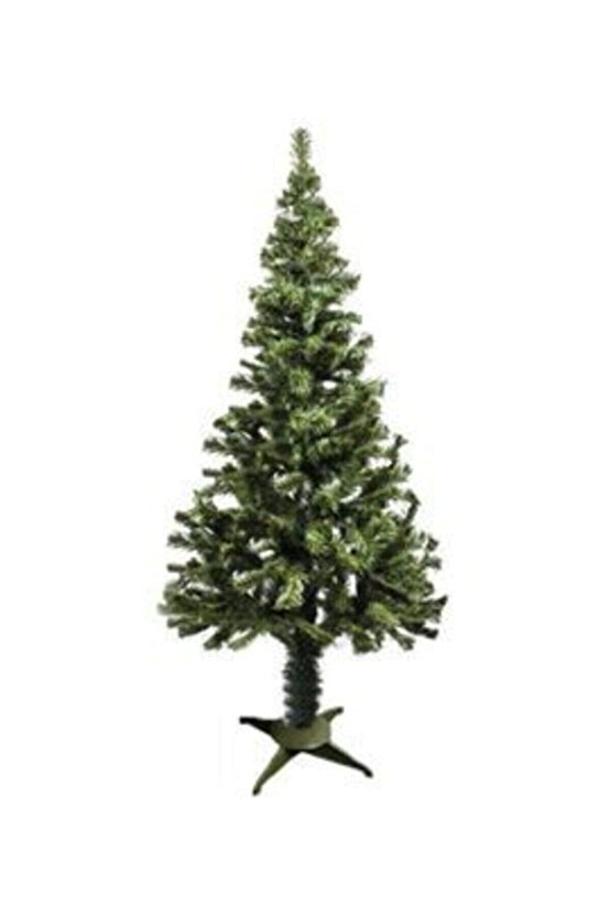 150 Cmyeşilyılbaşı Agacı 4 Lü Ayak 240 DAL KUTULU