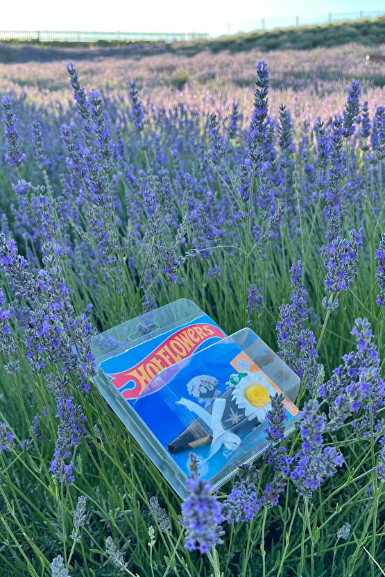 Hot Flowers Mini Papatya Buketi Hot Tarz Hediye Wheels Özel Tasarım Koleksiyonluk Aksesuar