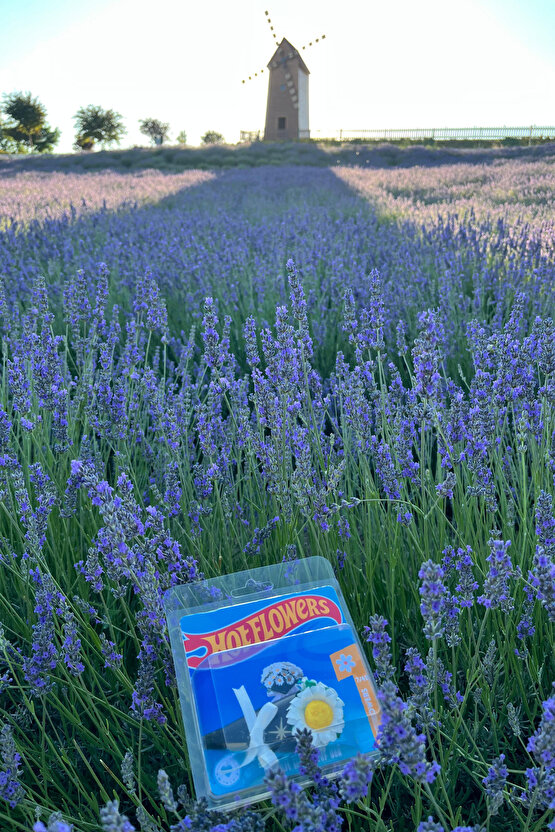 Hot Flowers Mini Papatya Buketi Hot Tarz Hediye Wheels Özel Tasarım Koleksiyonluk Aksesuar