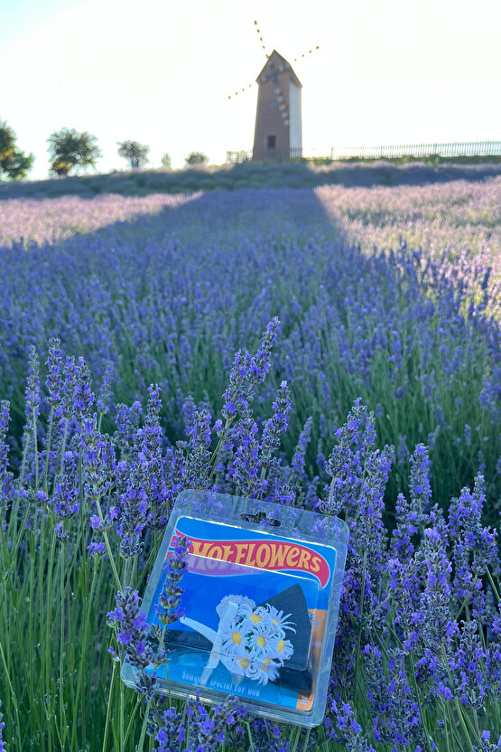 Hot Flowers Mini Papatya Buketi Love Flowers Özel Tasarım Koleksiyonluk Aksesuar