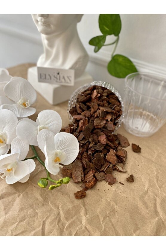 Orkide Toprağı Vitaminli Doğal Çam Kabuğu 3 Litre Besleyici Düzenleyici Toprak
