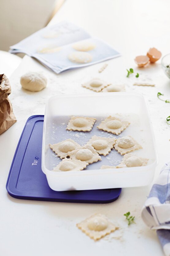 Alaska Kısa Gövdeli Buzluk Saklama Kabı 2.25 Lt Mavi