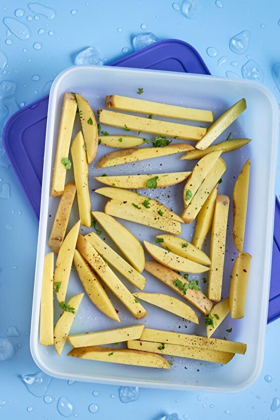 Alaska Kısa Gövdeli Buzluk Saklama Kabı 2.25 Lt Mavi