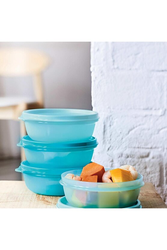 Saklama ve Servis Kabı 4lü Set 300 ml