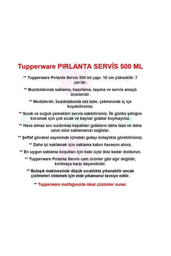 Pırlanta Servis 2li 500 Ml Saklama Kabı Hsgl