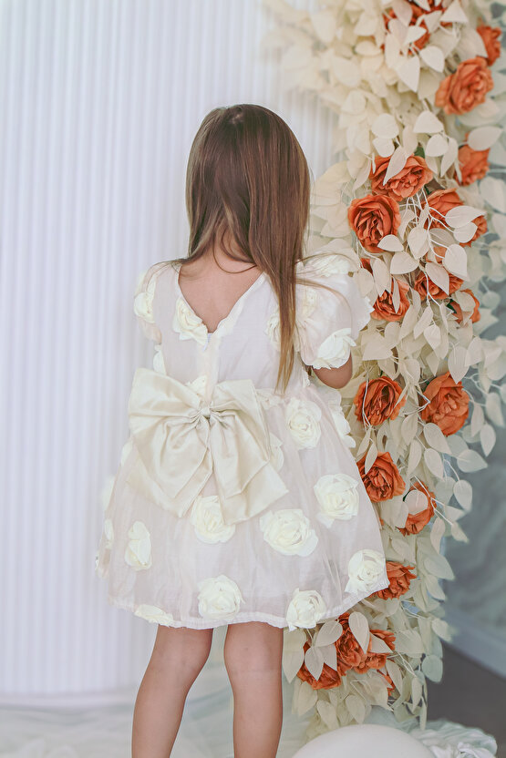 Kız Bebek Kız Çocuk Doğum Günü Parti Düğün Elbise Kısa Kol Tüllü Tütülü Tütü Astarlı