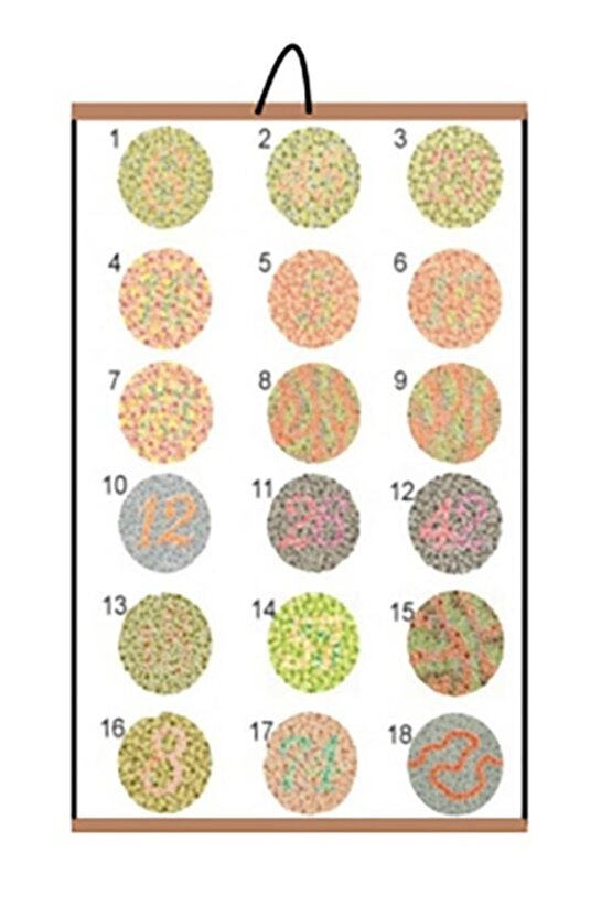 Renk Körlüğü Test Skalası