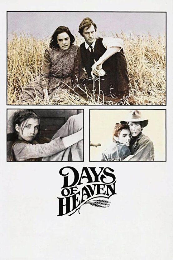 Days of Heaven (1978) 004 AFİŞ - POSTER