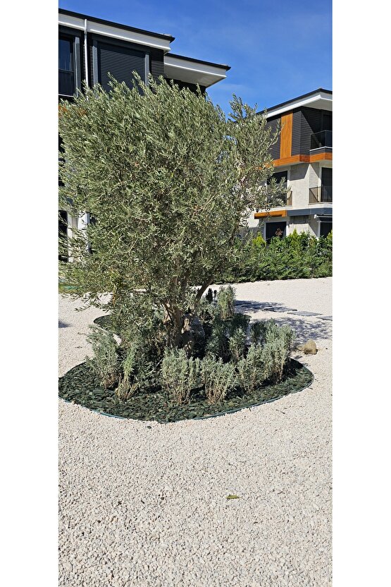 Yeşil Renkli Malç 40 Litre 25-65 mm Renkli Ağaç Kabuğu Renkli Ağaç Yonga Bahçe Dekor Peyzaj Mulch