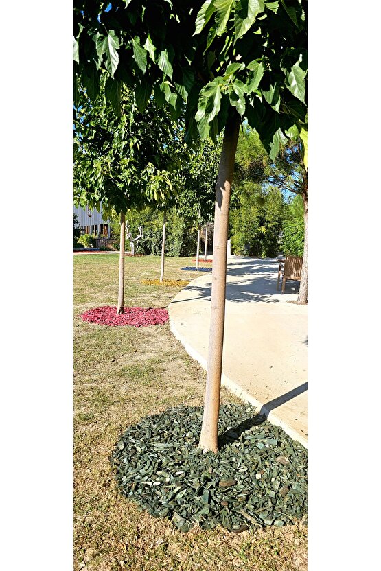 Yeşil Renkli Malç 40 Litre 25-65 mm Renkli Ağaç Kabuğu Renkli Ağaç Yonga Bahçe Dekor Peyzaj Mulch