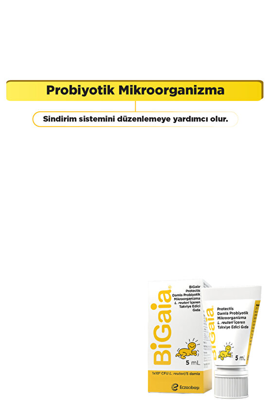 Probiyotik Damla 5 ml - 1 Aylık Kullanım - Sindirim Sistemi