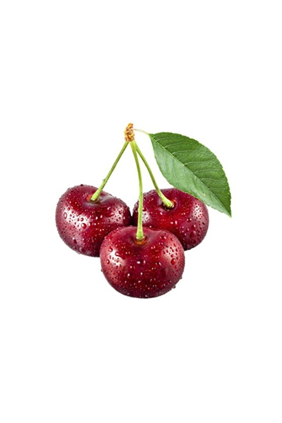 5 Adet Yediveren Kiraz Tohumu