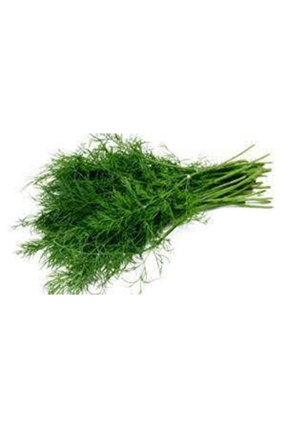 100 Adet Tohum Sebze Dere Otu Tohum Sürpriz Hediye Tohum Yeşil Dere Otu Ata Tohumlar