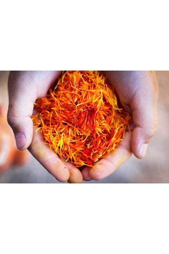 Safran Çiçeği Soğanı 10 Adet Orjinal Mis Kokulu Soğan Ev Bahçe Için Ideal