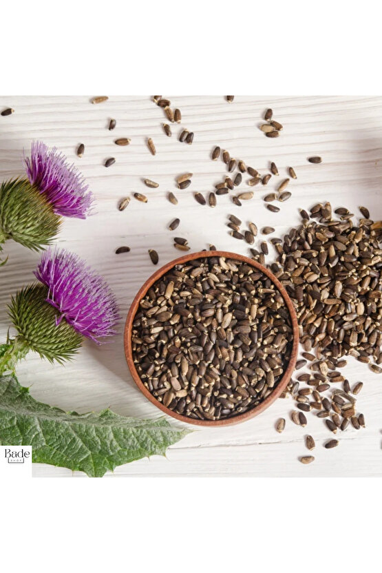 100 gr - Deve Dikeni Tohumu - Milk Thistle Seeds