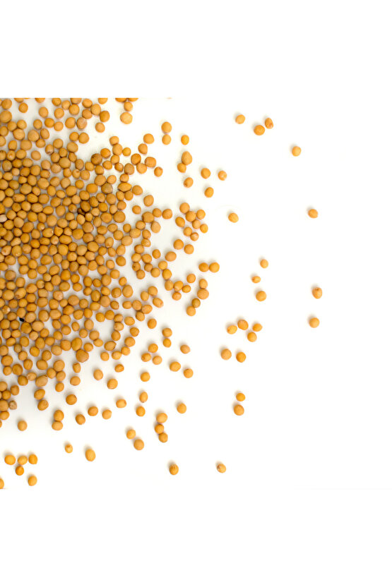 25 gr Doğal Sarı Hardal Tohumu - Taze ve Kaliteli