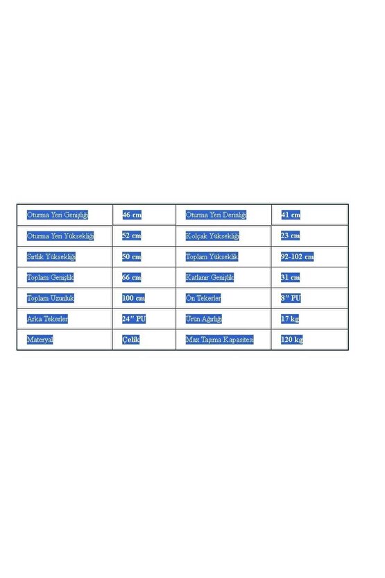 Rolid 100 Tekerlekli Sandalye