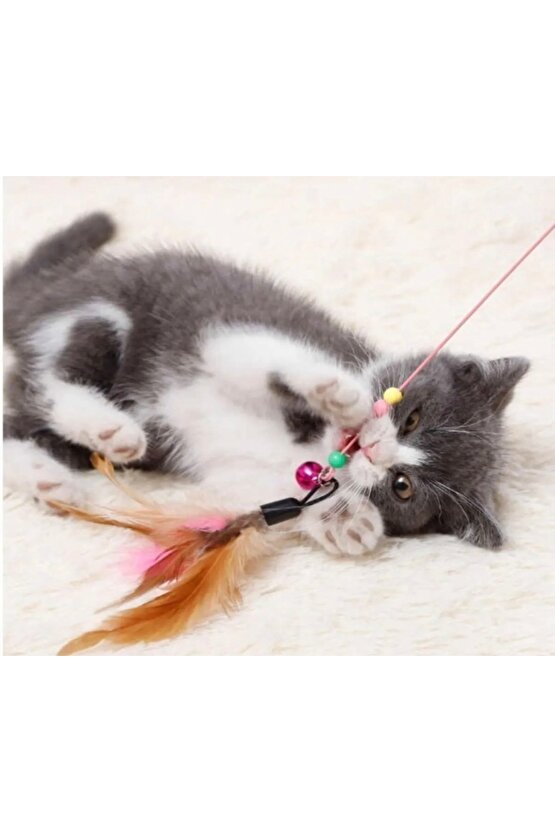 KEDİ OYUN OLTASI 90 cm ÇELİK TELLİ