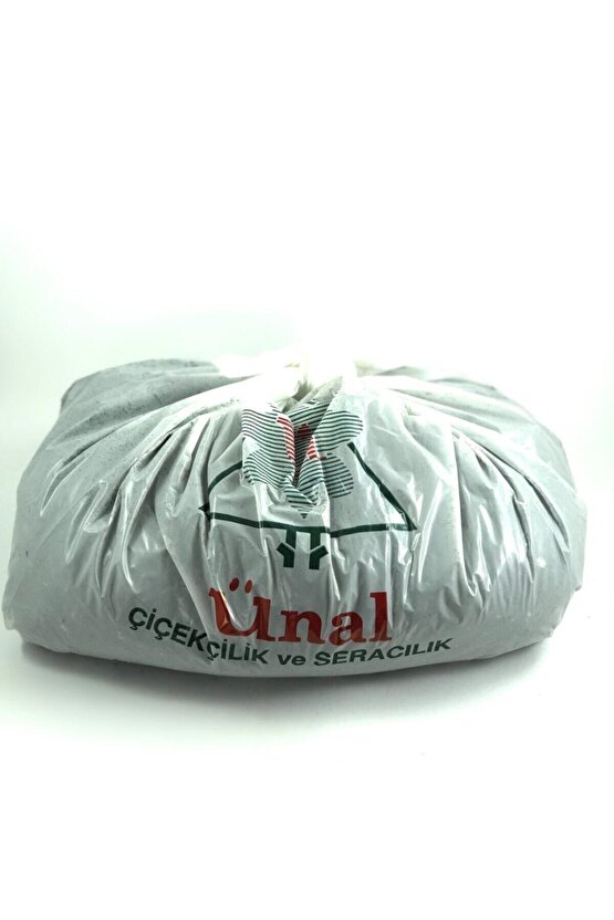 Kaktüs Ve Sukulent Toprağı