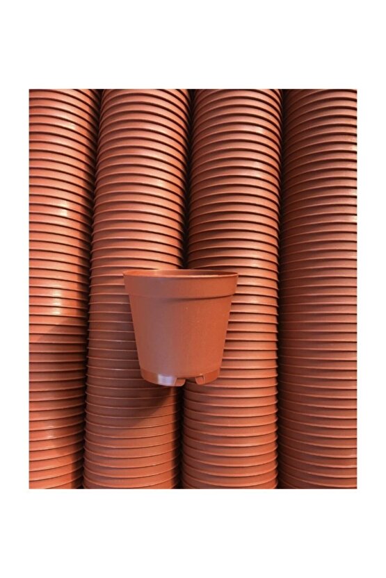 5.5 Cm Sukulent Kaktüs Saksısı 50 Ad.(kahverengi)