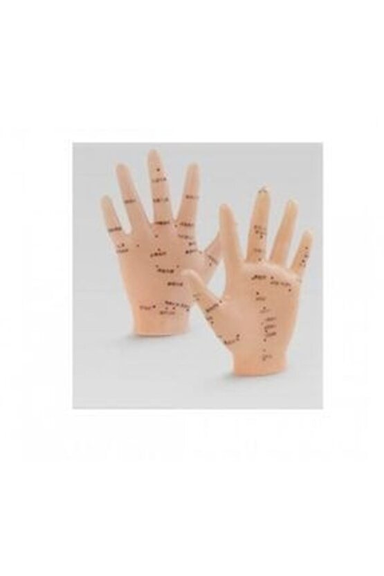 ketiAkupunktur Noktaları ***