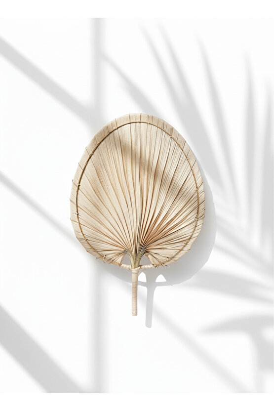 Aura Large Boy Palmiye Yaprağı Duvar Süsü, Japon Yelpazesi Bohem Stil Dekorasyon, 43 x 30 cm