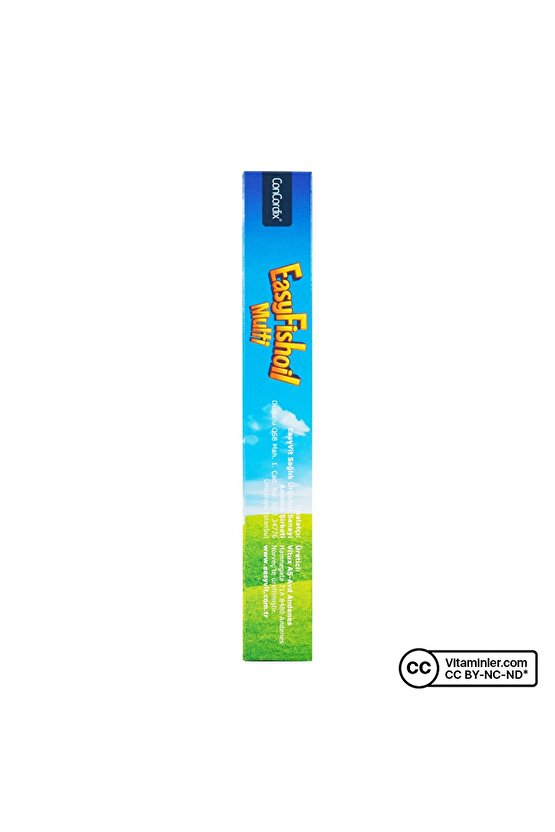 Easyfishoil Multi Omega 3 30 Çiğnenebilir Form Karışık Meyve