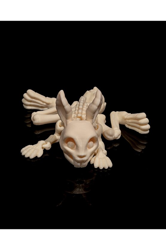 İskelet Tavşan (iskelet koleksiyonu)