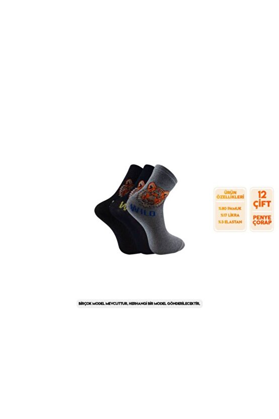 Aksu Mevsimlik Soft Parfümlü Erkek Çocuk Soket Çorap 12li