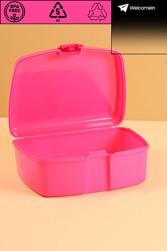 Çocuk Okul Beslenme Yemek Seti Saklama Kabı 500ml Suluklu Öğrenci Mataralı Sağlam BPA’sız