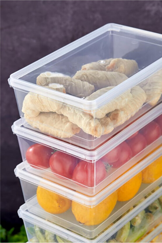 10’lu Kapaklı Saklama Kabı Seti – Düzenleyici - 2 Litre, Buzdolabı ve Derin Dondurucu Uyumlu