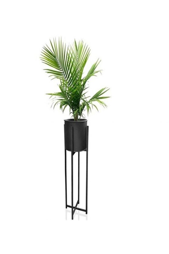 Metal Siyah Dekoratif Ayaklı Saksı,ferforje Ayaklı Büyük Boy 24 X 83 Cm. Saksı