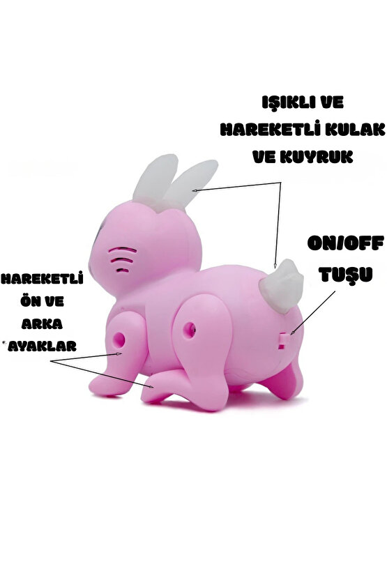 Oyuncak Hareketli Pilli Müzikli Ve Işıklı Sevimli Zıpzıp Tavşan Kuyruk ve Kulağı Hareketli