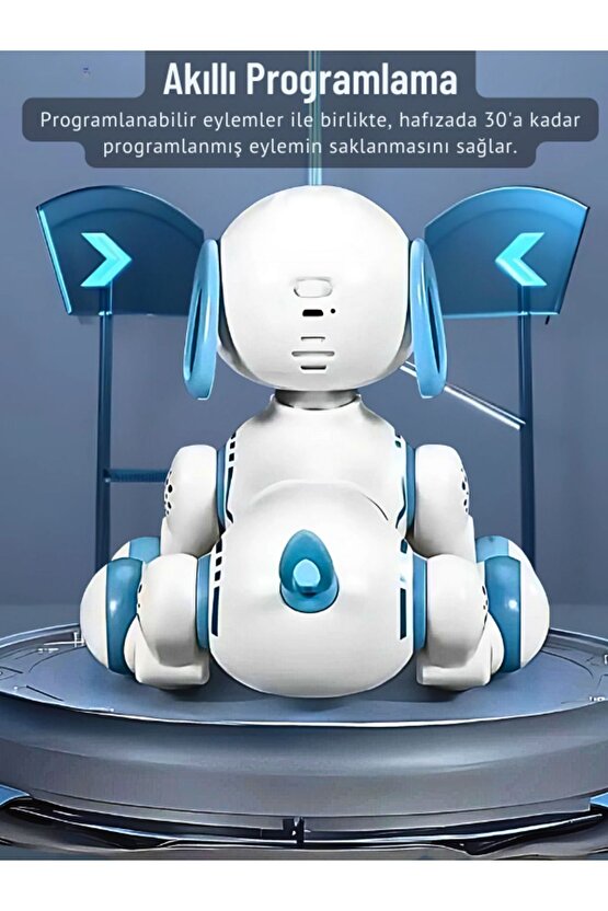 Uzaktan Kumandalı Çok Fonksiyonlı Akllı Aktivite & Eğlence Robot Köpek