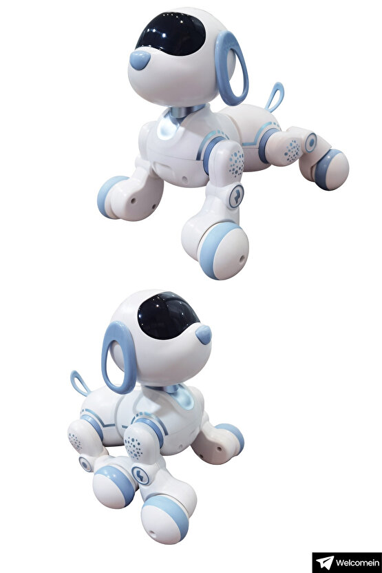 Oyuncak 30 Fonksiyon Uzaktan Kumandalı Şarjlı Sesli Işıklı Dokunma Algılama Programlama Robot Köpek