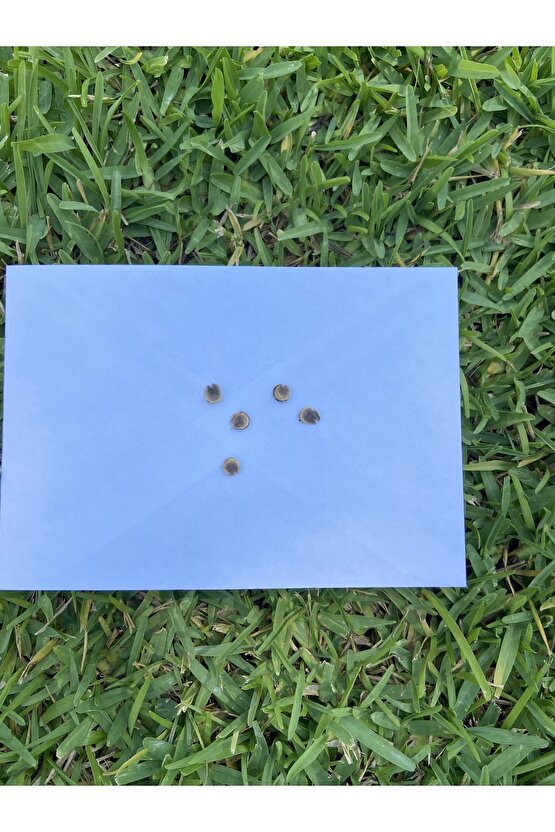 Sıklamen Rengi Hatmi Çiçeği Tohumu 5 Adet