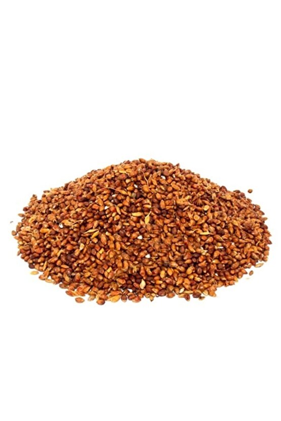 Süpürge Otu Tohumu 50 Gram