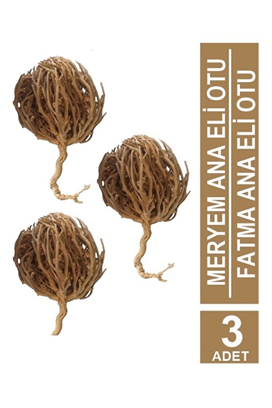 Kolay Doğum Için Meryem Ana Fatma Ana Eli Otu 3 Adet