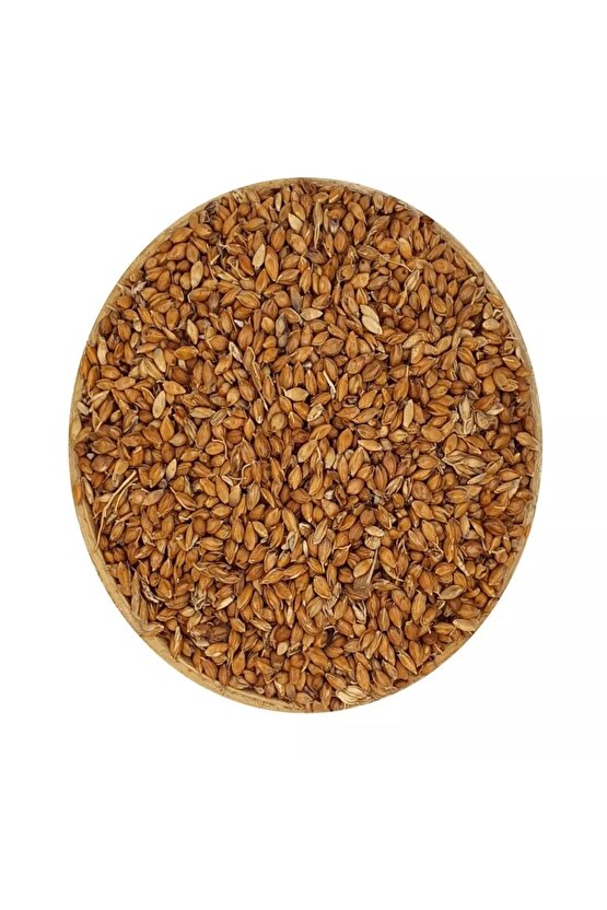 Süpürge Otu Tohumu 100 Gr