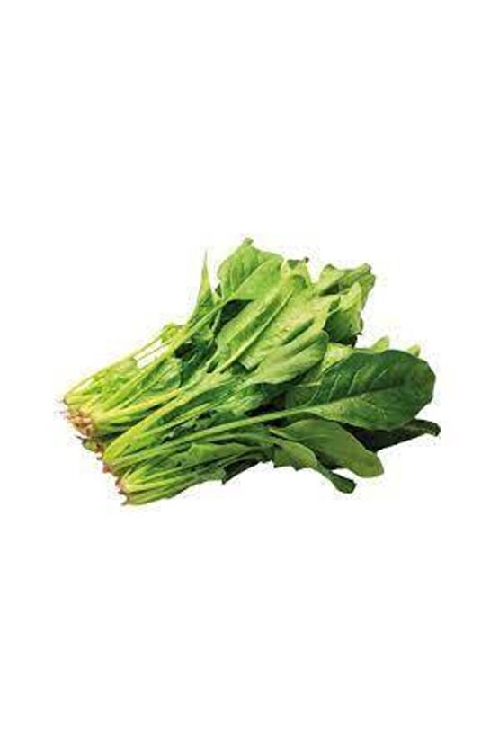 Ispanak Tohumu  50 Adet