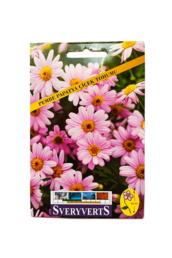 Pembe Papatya Çiçeği Tohumu