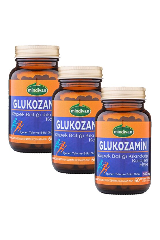 Glukozamin Köpek Balığı Kıkırdağı Kolajen MSM 60 Kapsül x3 ADET