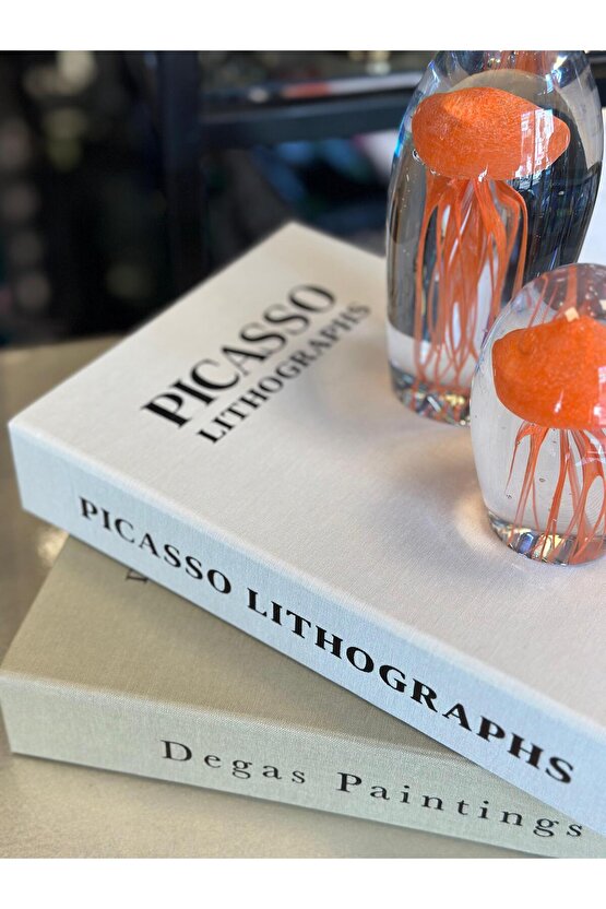 Kumaş Kaplı 2’li Dekoratif Kitap Kutu Set Degas Rodin