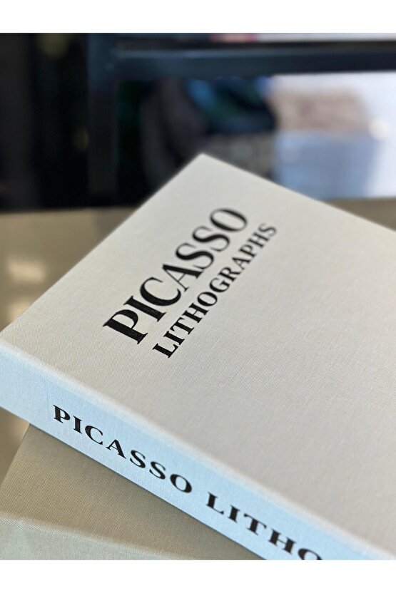 Kumaş Kaplı 2’li Dekoratif Kitap Kutu Set Degas Rodin