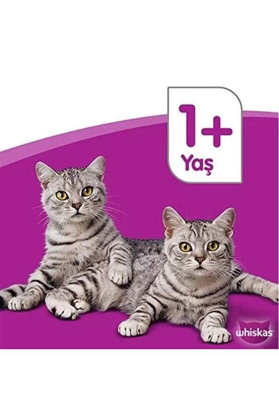 Biftekli ve Havuçlu Yetişkin Kedi Maması 300 Gr